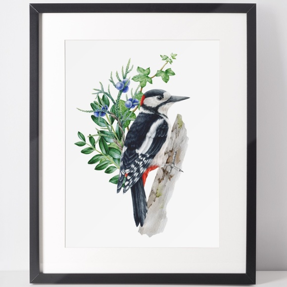 Great Spotted Woodpecker Bird Wall Art Watercolor Illustration Print Unframed - Picture 2 of 7